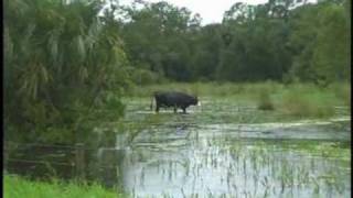 Tracking the Hurricanes: 2008 Part One