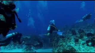 Diving The Wall in West Caicos