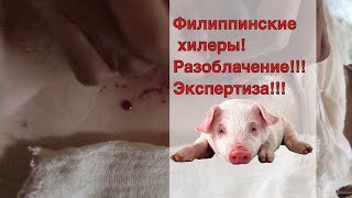 ( Eng sub) Филиппинские хилеры, разоблачение, вся правда, мой отзыв. Philippines healers, exposure