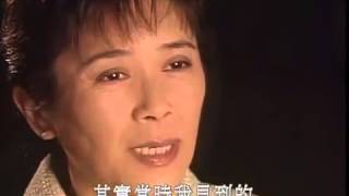纵横四海 (葉德嫻)