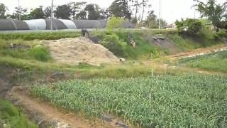 [매매완료] 투자용토지 및 전원주택지 매매 서산부동산 서산땅투자 서산전원주택지 서산토지매매 웰빙특구 현대산업단지 알토란부동산