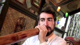 Tyler Spencer Agave Didgeridoo "TS302"