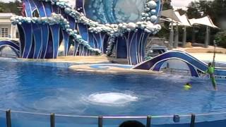 Sea World шоу с дельфинами