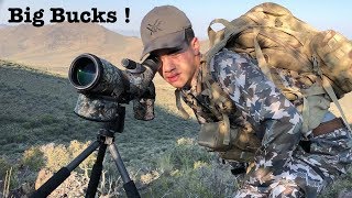 Mule Deer Hunting - Stalking High Mountain Muleys With A Bow! Day 1