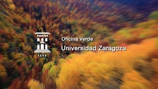 Jornadas de Bienvenida 2019/2020