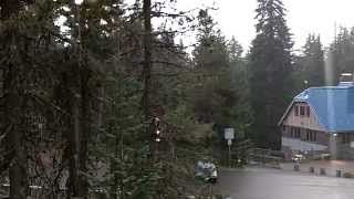 RAIN SOUNDS - RAINING ON MT. HOOD