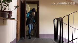 Как правильно гулять с собакой