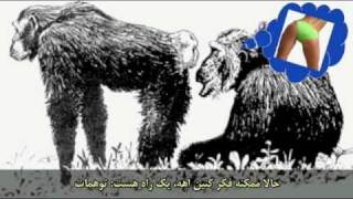 دنیل دنت: بامزه سکسی شیرین خنده‌دار