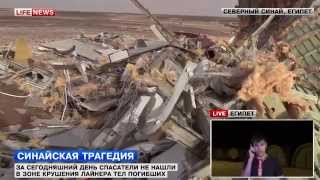 ДО СЛЕЗ Пророченский самолетик На месте падения А321 в Египте нашли разломанный игрушечный самолётик