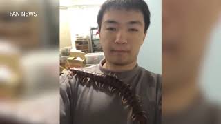 Сколопендра, полный контакт с фантастически жутким гигантским существом!
