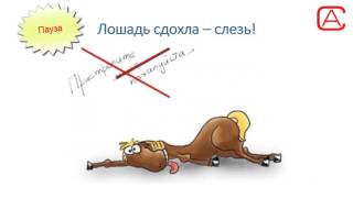 1 урок. Цикл менеджмента. Планирование. Организация.