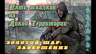 Пять осколков на Дикой Территории
