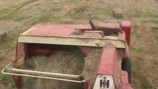 Hay Baling (old school)