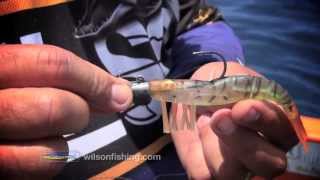 Rigging the Live Shrimp, perfect every time.