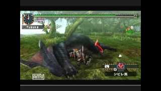 MH2ndG,MHFU ナルガクルガ ハンマー