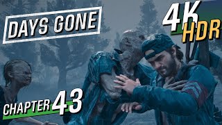 [4K HDR] DAYS GONE - PS4 Pro (Hard / 100% / Exploration) Walkthrough part 43 - Chemult Collage