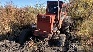 Трактор Т 40 застрял в Грязи | Трактор Оффроад 2019