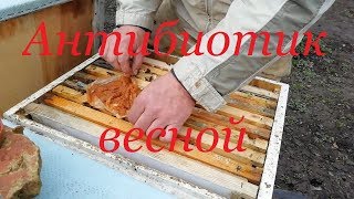 Антибиотик весной