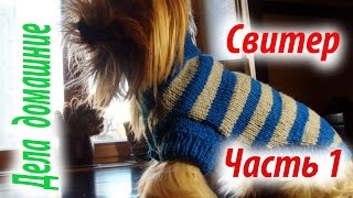 Свитер для собаки.Часть1.Одежда для собак своими руками на канале''Дела домашние''.