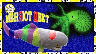 Чудовища морских глубин Big Animal World МЕНЯЮТ ЦВЕТ  ???