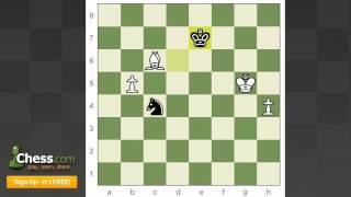 Chess Endgames: Hess' Scintillating Endgame Tactics