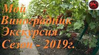 Мой виноградник - экскурсия - сезон 2019 год
