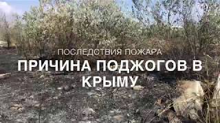 ПОЧЕМУ ПОДЖОГИ В КРЫМУ / ПОСЛЕДСТВИЯ ПОЖАРА В НОВОФЕДОРОВКЕ