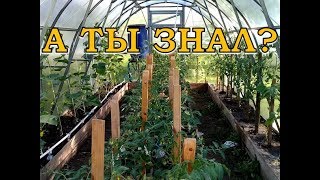 ПОДПОРКИ для томатов и огурцов в ТЕПЛИЦЕ и в ОГ