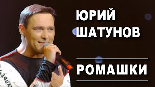 Юрий Шатунов - Ромашки / Official Video
