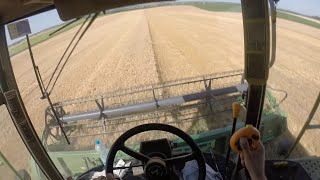 Aratás (kimaradt felvétel)