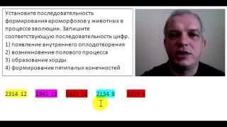 Последовательность формирования ароморфозов у животных в процессе эволюции