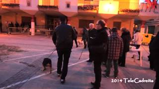 Fiestas de San Antón 2014 en Cadreita. Bendición de animales, viernes 17 enero