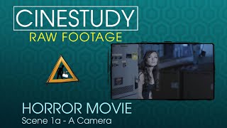 FREE RAW FOOTAGE - HORROR SCENE  SC01A Cam A 4K