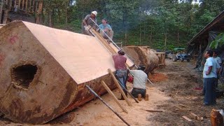 This monster wood sawmill machine is INCREDIBLE. Amazing firewood processor & wood cutting equipment
