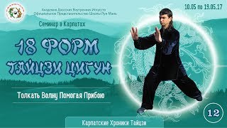 2.12. Карпатские хроник. Весна 2017. Тайцзи Цигун 18 Форм. 12-я форма. Толкать Волну Помогая Прибою