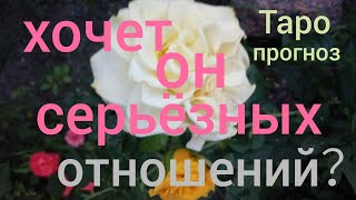 Таро прогноз ХОЧЕТ ЛИ ОН СЕРЬЁЗНЫХ ОТНОШЕНИЙ? Онлайн гадание на картах Таро asmr видео Hygge