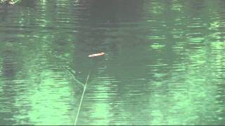 Savage Gear 4Play Lures