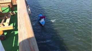 It's Happened On the Boat, Luxor Harbor, Egypt