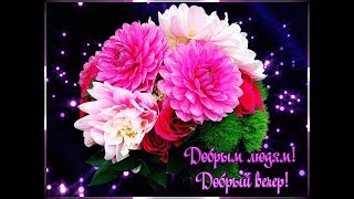 Наилучшие пожелания доброго вечера!