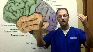 Functional Disconnection Syndrome