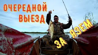 ГДЕ ЛОВИТЬ ЯЗЯ В НАЧАЛЕ ЛЕТА/ ЛОВИМ ЯЗЯ НА ПОПЛА ПОППЕР/ СЕВЕРНЫЕ РЕКИ