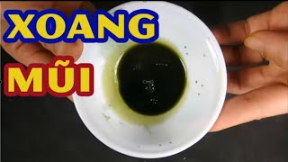 Cách chữa khỏi dứt điểm bệnh viêm xoang mãn tính chỉ bằng 1 nắm cỏ ven đường [Mẹo sống khỏe]