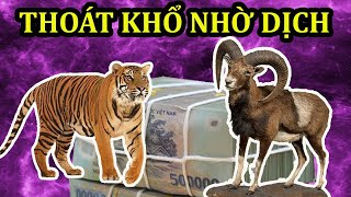 GIỚI TIÊN TRI KHẲNG ĐỊNH CHẮC CHẮN, TOP 2 CON GIÁP TRÚNG QUẢ XÓA NỢ, HẾT DỊCH CÀNG GIÀU