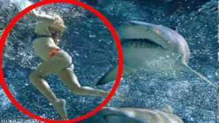 Shark Attack - Woman Eaten Alive by Shark