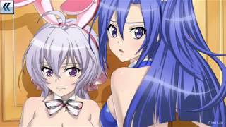 【シンフォギアXD】バニーガールズ　メモリアカード