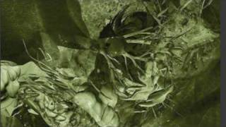 Sei2ure - Assault