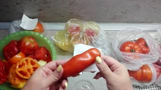 КАКОЙ СОРТ ПОМИДОР ЛУЧШЕ? 2 ЧАСТЬ. ВЫПУСКАЕМ СЕМЕНА