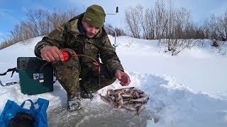 Рыбалка с одной лунки. Гора окуней на льду!!! Глухозимье.