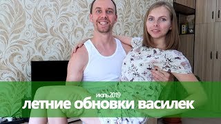 Магазин Любимый Василек Ивановский Текстиль