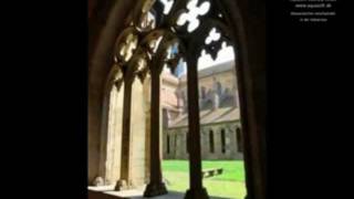 Alessandro Stradella "Pieta, Signore!" - Alexander Gorbatenko, Countertenor